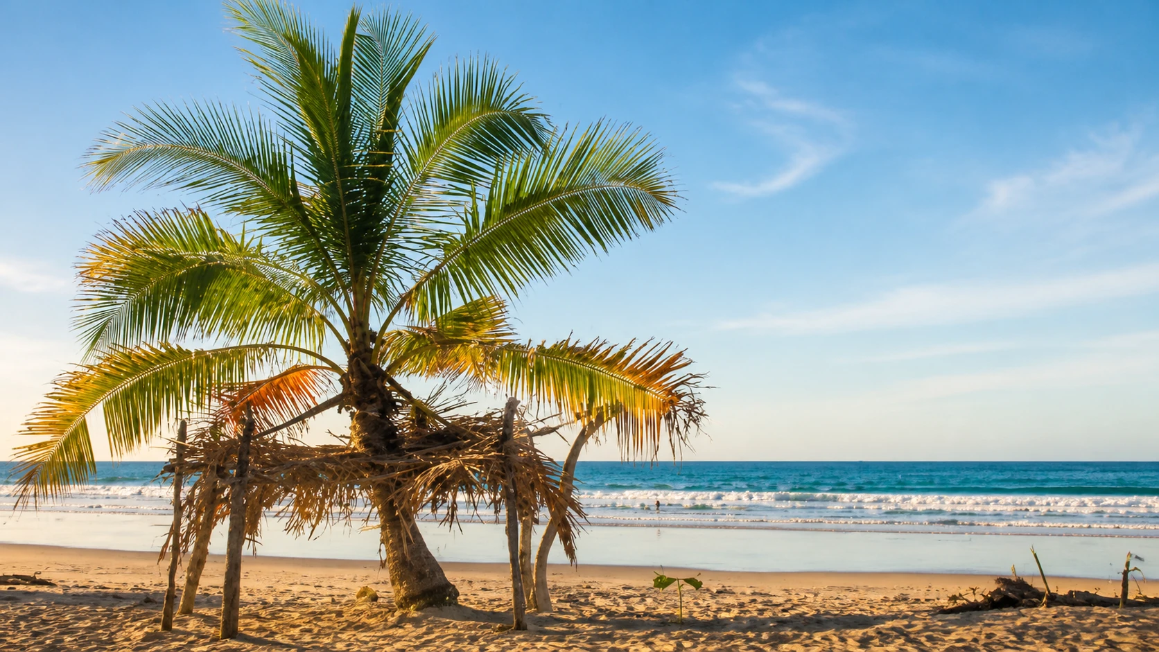 Nosara Costa Rica coastline and beach landscape