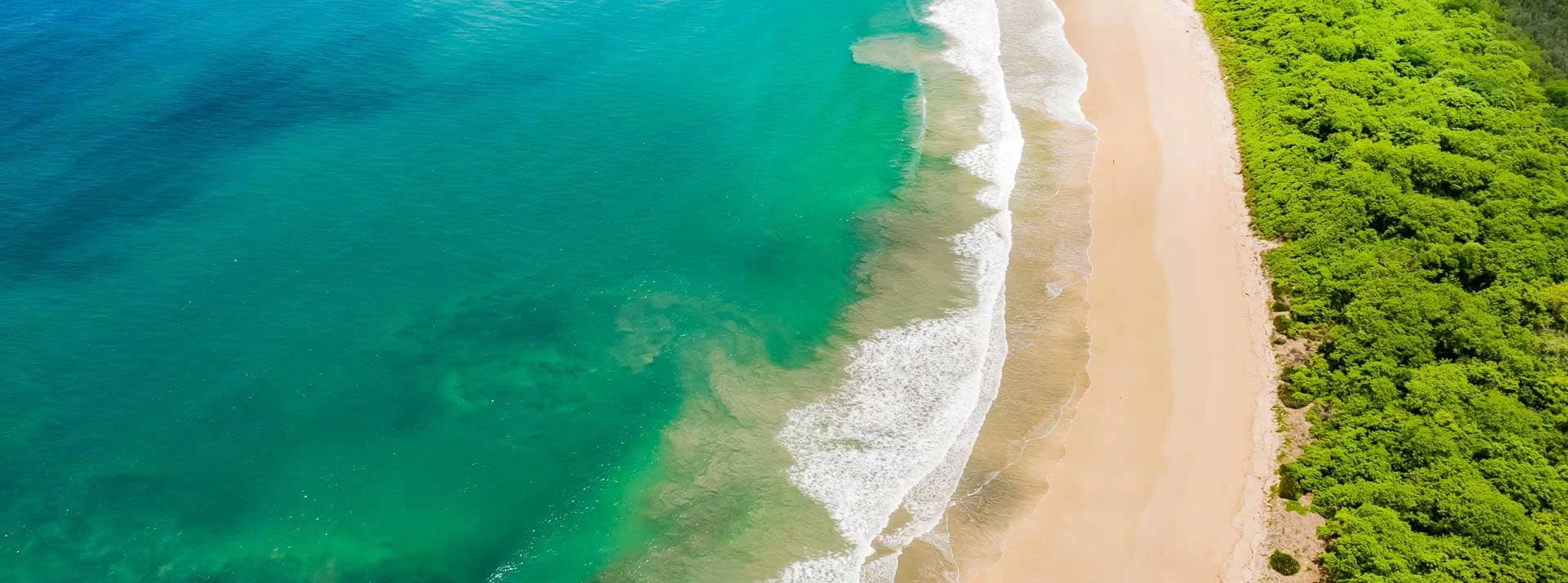 Aerial view of Playa Langosta with turquoise water, pale sand and coastal forest