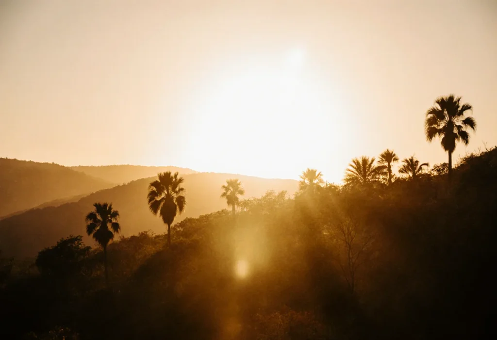 Golden sunset casting light over Guanacaste’s dry forest landscape in Costa Rica.