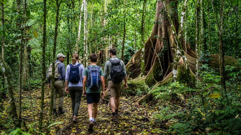 privaye rainforest and wildlife hikes costa rica with private naturalist guide