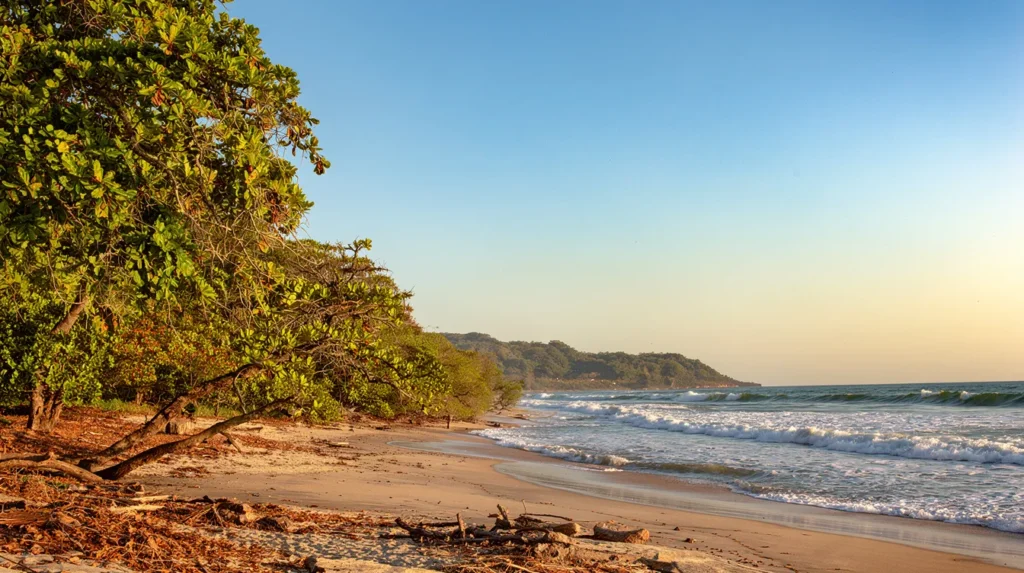 travel guide to santa teresa costa rica